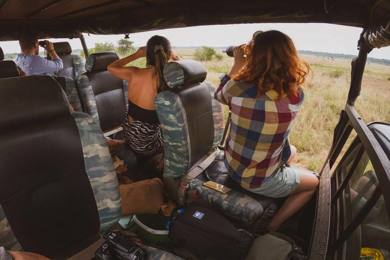 From Colombo: Wilpattu Leopard Safari Private Tour Wilpattu Leopard Safari Private Day Tour