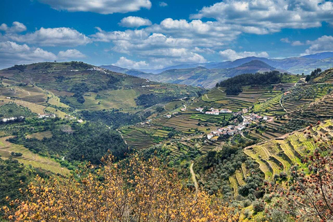 Porto: Tour dei 2 vigneti della Valle del Douro con pranzo e crociera sul fiume