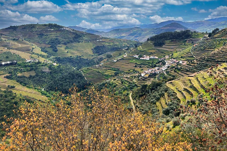 Porto: Tour dei 2 vigneti della Valle del Douro con pranzo e crociera sul fiume