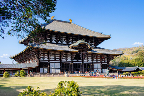 Nara: Deer, Photos, and Japanese Tea Social Experience