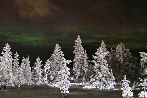 Levi: Northern Lights by Snowshoe Hike with Latvian Guide Northern Lights Snowshoe Hike in Levi with Latvian Guide