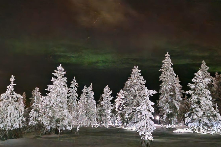 Levi: Northern Lights by Snowshoe Hike with Latvian Guide Northern Lights Snowshoe Hike in Levi with Latvian Guide