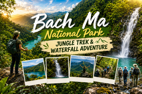 Bach Ma National Park: Five Lakes, Waterfall & Summit Trek From Da Nang: Group Tour