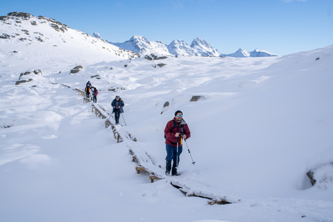 Reine: Winter Snowshoe Hike to Ryten – With Local Guide