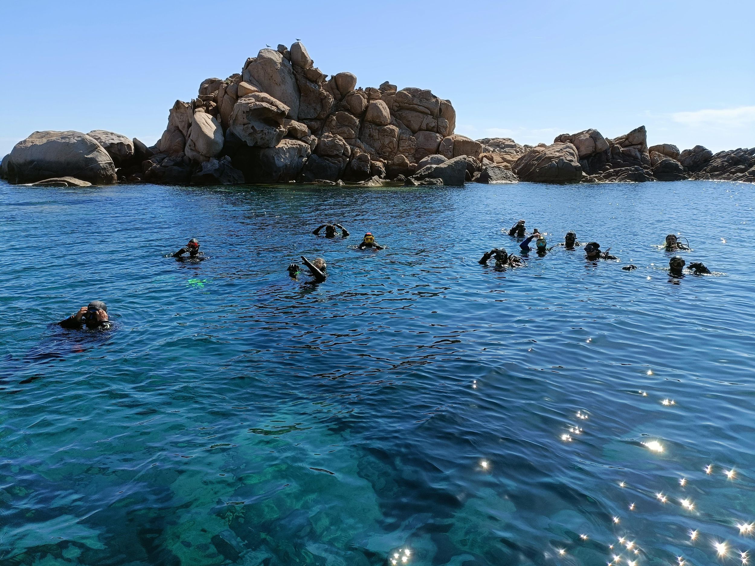 Schnorcheln und Tauchen auf der Insel Giglio