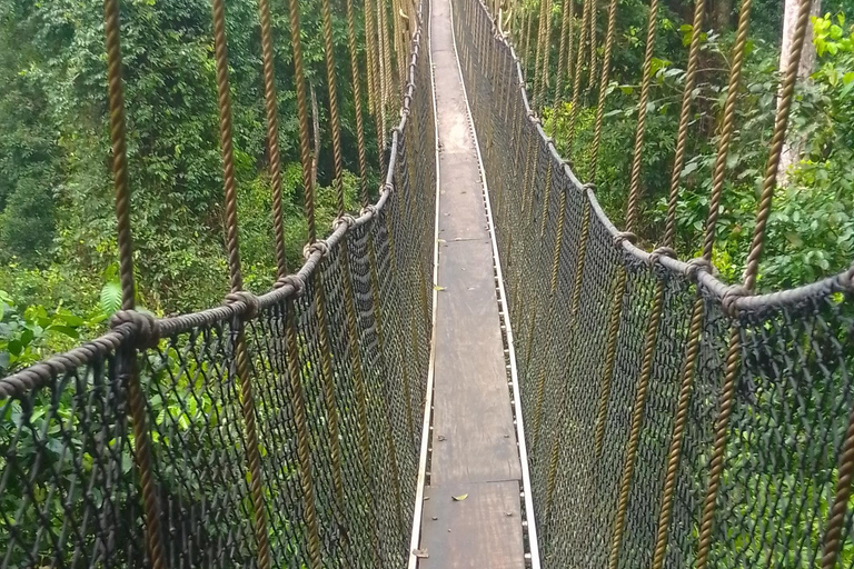 Rzeka niewolników Assin Manso, zamek Cape Coast i wycieczka KakumRzeka niewolników Assin Manso, zamek Cape Coast i wycieczka do Kakum