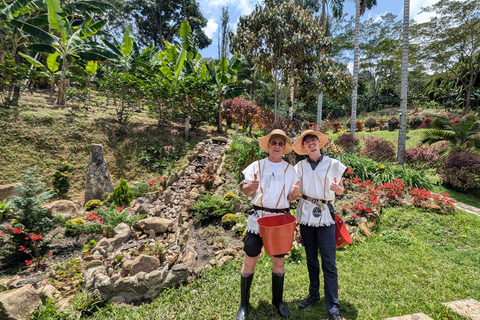 Medellín: Luxury Coffee Farm Tour with Tastings