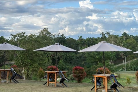 Bohol: Ultimate Adventure, ATV, Golf, Hiking, & Falls - Image 2
