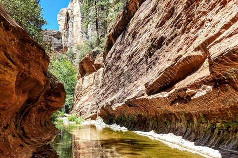 From Phoenix: Grand Canyon and Sedona Oak Creek Day Tour