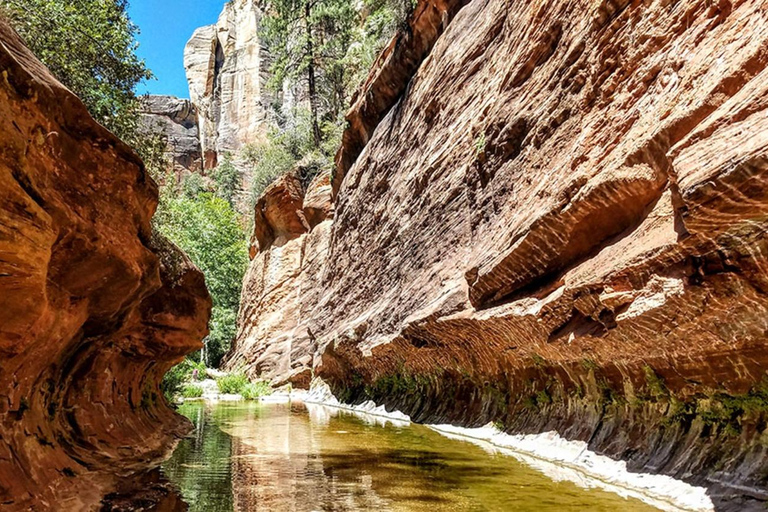 From Phoenix: Grand Canyon and Sedona Oak Creek Day Tour
