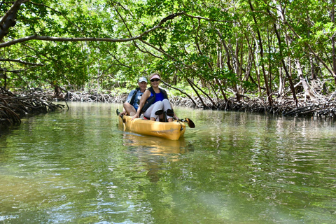 From Naples, FL: Marco Island Mangroves Kayak or Paddle Tour Easy Ride Pedal Kayak Tour
