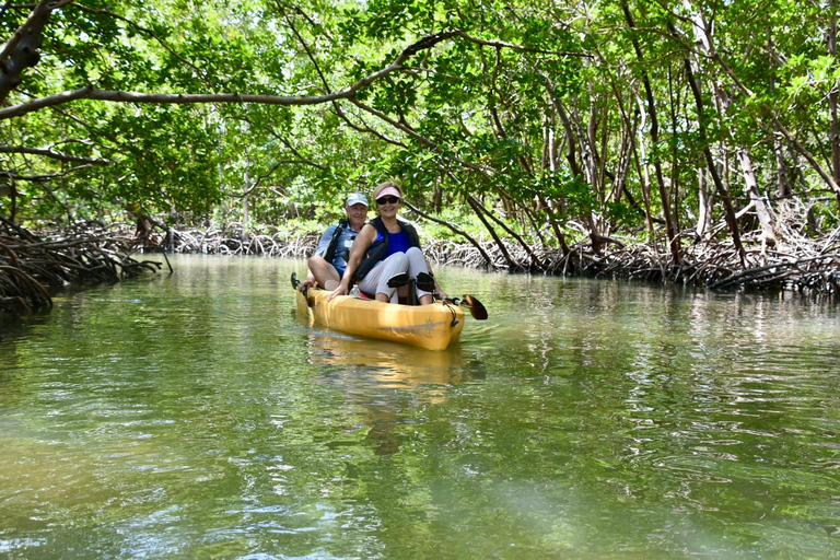 From Naples, FL: Marco Island Mangroves Kayak or Paddle Tour Easy Ride Pedal Kayak Tour