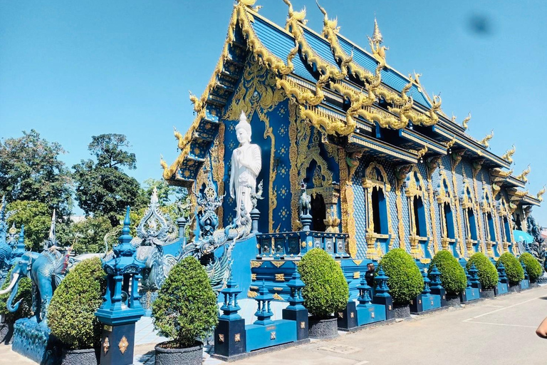 Chiang Rai: Explore 3 Highlight Temples (White, Blue, Red) Meeting Point: Wat Phra Singh (Hotels Outside Pickup Area)