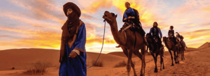 Tozeur : Balade à dos de chameau dans l'oasis de Tozeur. 2 heures