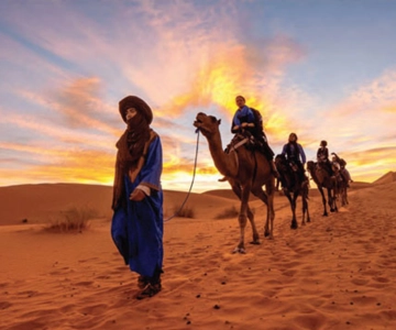 Tozeur : Camel ride in the Tozeur oasis. 2 hours