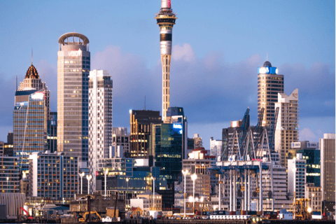 Auckland: Schafschur und City Highlights Tour mit Mittagessen