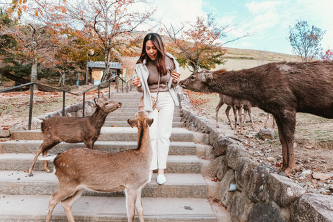 Dagsutflykt till Fushimi Inara, Nara och Osaka från Kyoto