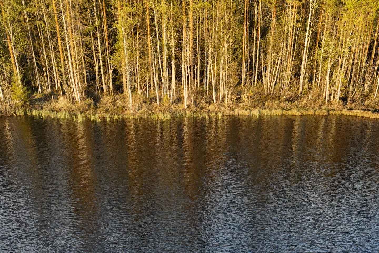 Överkalix, Lapland: Full-Day Kayak Tour and Outdoor Lunch