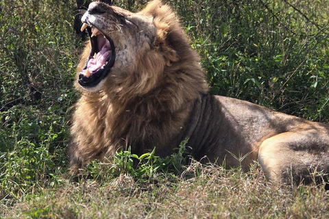 Nairobi:2 Day Hells Gate, Lake Naivasha & Lake Nakuru Safari