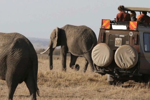 3Days Masai Mara Group Joining Camping with Daily Departures