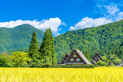 Nagoya:Shirakawa-go Gassho Village&Takayama Old Town Tour