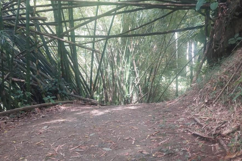 Tobago: Argyle Waterfall Tour with Hotel Pickup