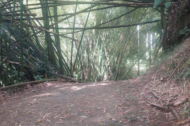 Tobago: Argyle Waterfall Tour with Hotel Pickup