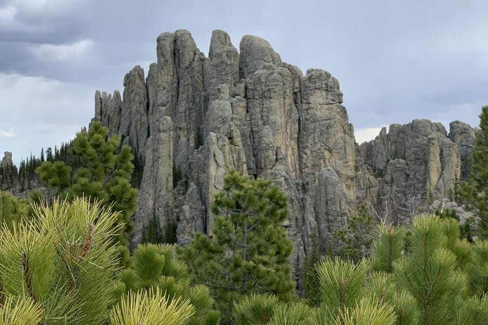 From Rapid City Custer State Park Private Safari and Hiking GetYourGuide