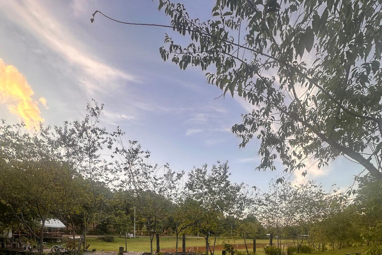 Chiang Mai : Visite de deux jours du sanctuaire du Temple des éléphants