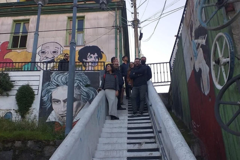 Rondleiding door straatkunstcultuur in Valparaíso en Viña del Mar