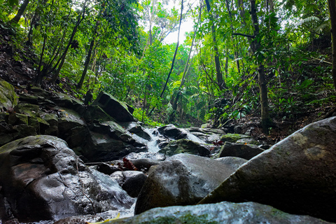 Panama: Rio Piedra Farm Entry Ticket and Hiking Trails