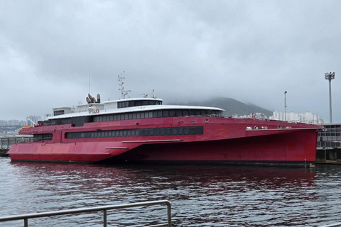 PanStar Busan Coastline Cruise & Sunset & Fireworks