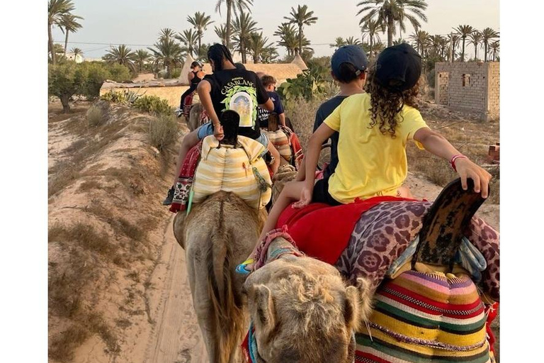 Sousse: Guided Countryside & Olive Grove Camel Ride Countryside Camel Ride with Sousse Hotel Transfer