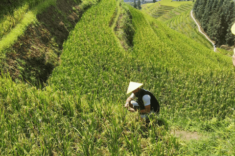 Guilin: Longji Rice Terraces Day Tour with Village Walks