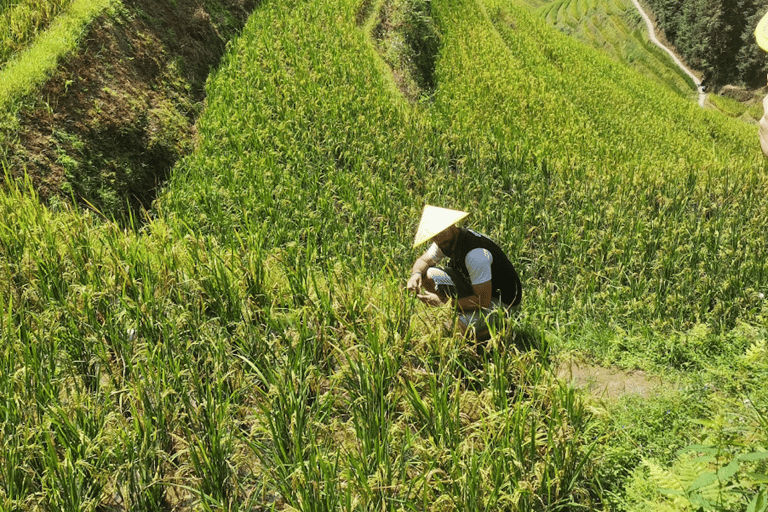 Guilin: Longji Rice Terraces Day Tour with Village Walks