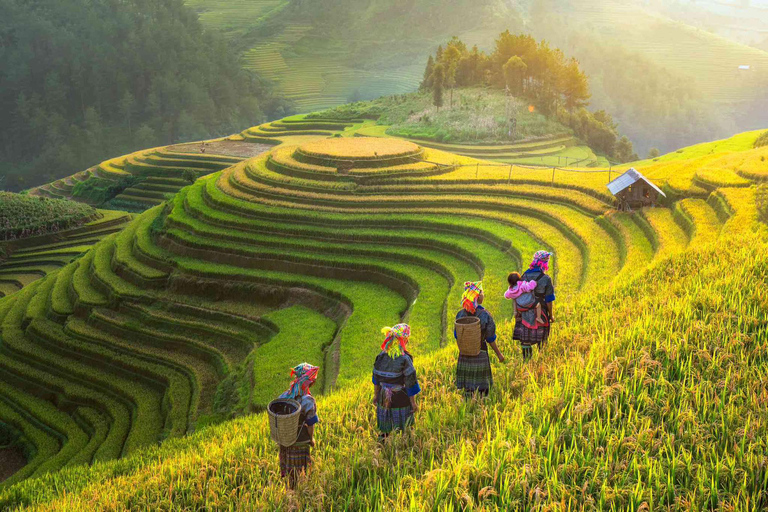 Z Hanoi: 3-dniowy trekking Sapa (nocleg w hotelu i u rodziny goszczącej)