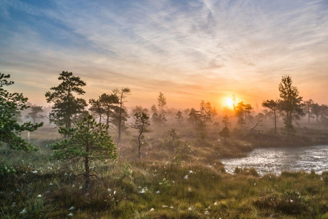 Riga: Ķemeri Sunrise Tour with Breakfast (Group or Private) Small Group