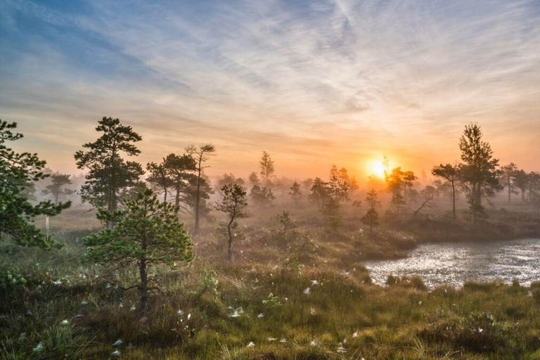 Riga: Ķemeri Sunrise Tour with Breakfast (Group or Private) Small Group