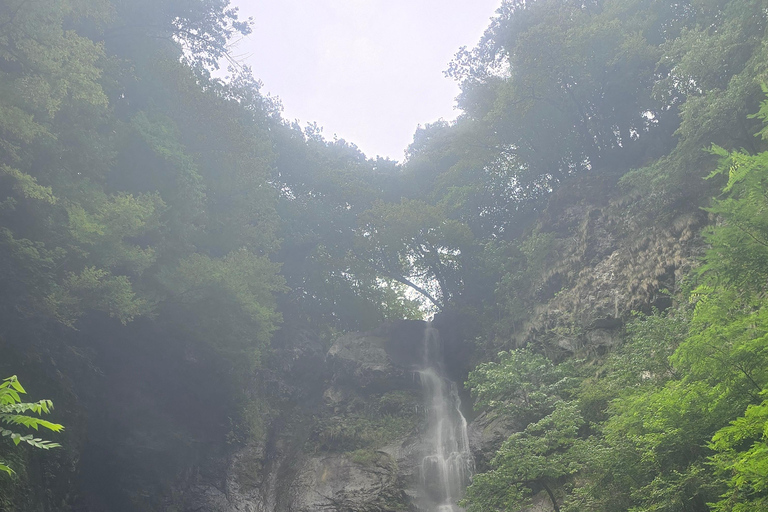 Visite privée d&#039;une jounée de Batumi aux chutes d&#039;eau