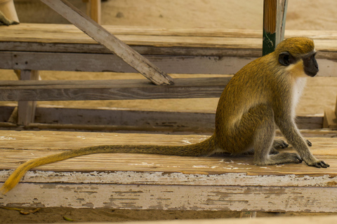 St. Kitts Photography Tours