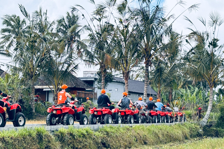 Ubud: Gorilla Face-quad, jungleschommel, waterval en maaltijdTandemrit met Bali Transfers