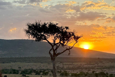 Nairobi: 3-Day epic trip to Maasai Mara Reserve with meals 3 days, 2 nights private safari to Mara in a tourist VAN