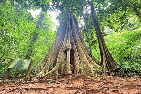 Krabi: Premium James Bond Island Speedboat & Canoe Trip Private Tour