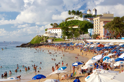 Salvador Evenings: Music, Culture &amp; Dining Experience