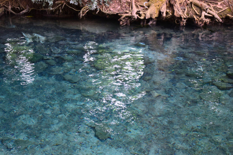 البرية: جولة مشي لمسافات طويلة ومشاهدة النجوم في خاو ياي لمدة يومينجولة المجموعات الصغيرة