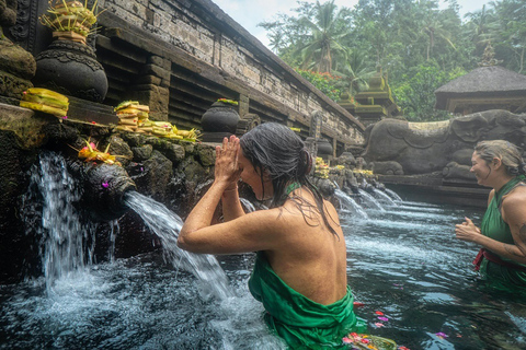 Ubud: Monkey Forest, Rice Terrace, Waterfall Private Tour Private Tour Without Entry Tickets
