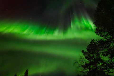 Rovaniemi: Northern Lights Hunters. Aurora + BBQ