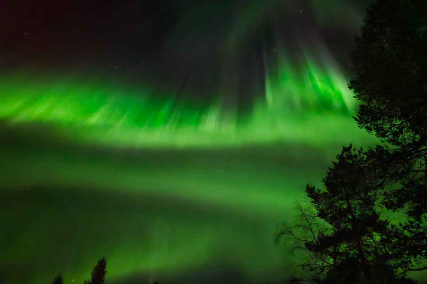 Nordlichter-Tour ab Rovaniemi, Lappland