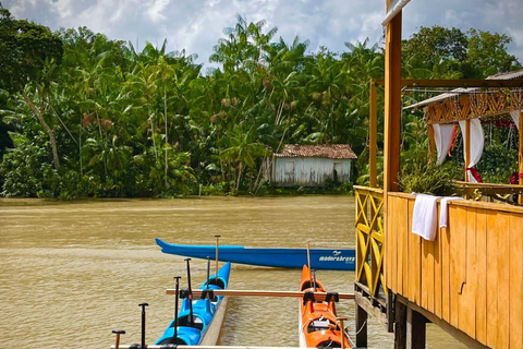Belém: Canoeing through the holes and streams of the islands with breakfast. Belém: Canoeing through the channels and streams of the islands with breakfast