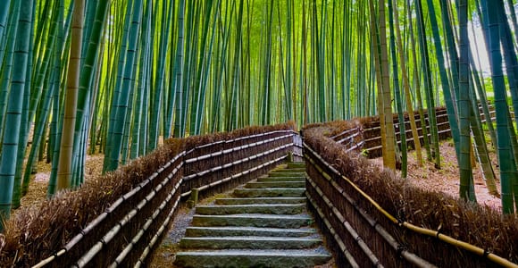 Kyoto Early Bird English Tour: Fushimi-Inari and Arashiyama